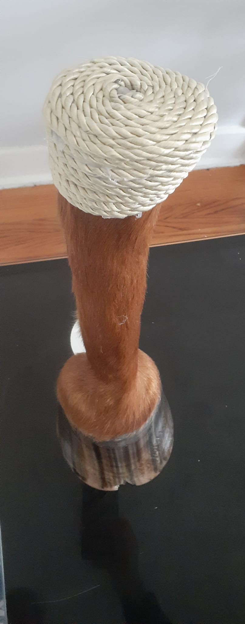 Light brown blond horse feet taxidermy decoration high quality