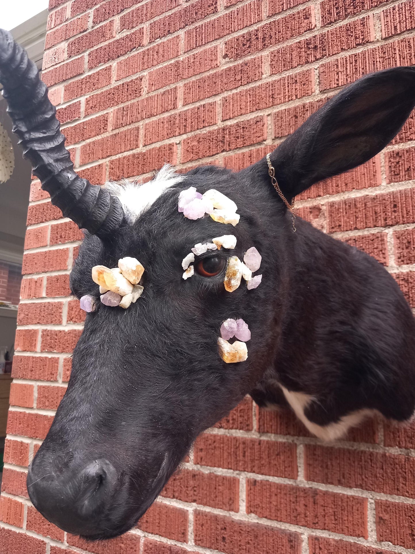 Unique unicorn shoulder mount calf taxidermy with real crystal on the face