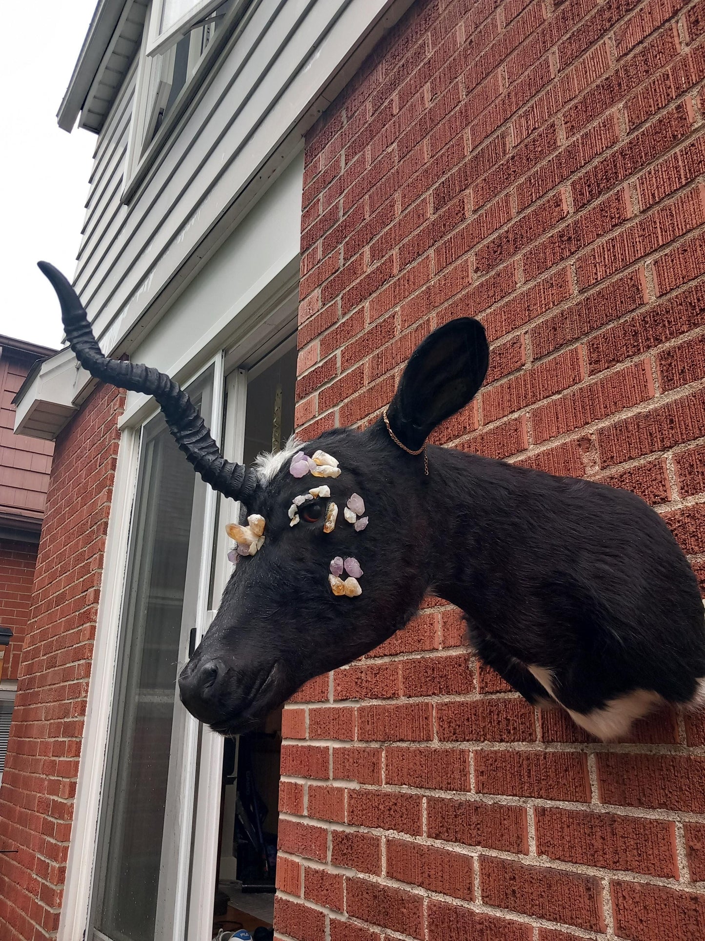 Unique unicorn shoulder mount calf taxidermy with real crystal on the face