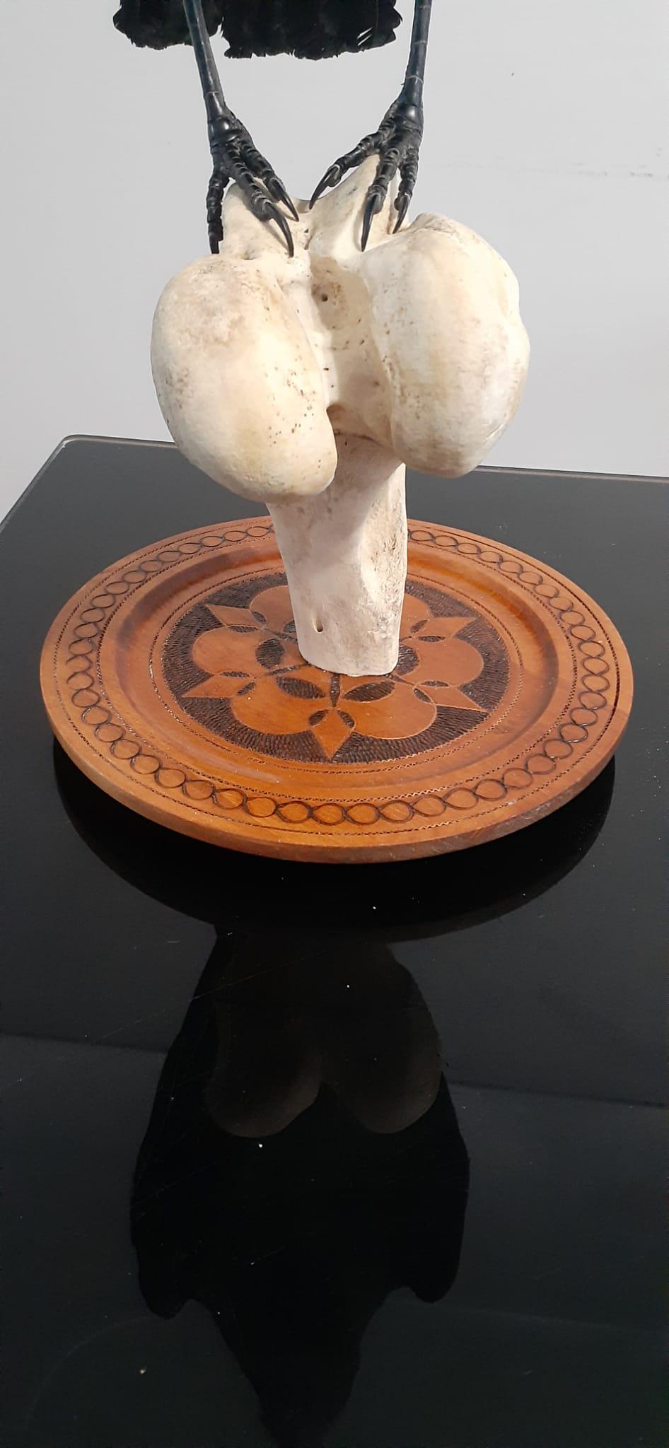 Standing crow taxidermy with skull exposed standing on a big bone