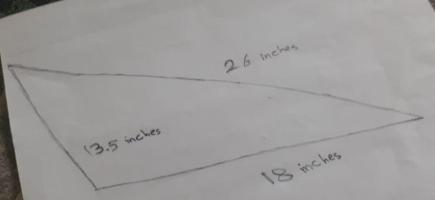 XXL Horse skull taxidermy