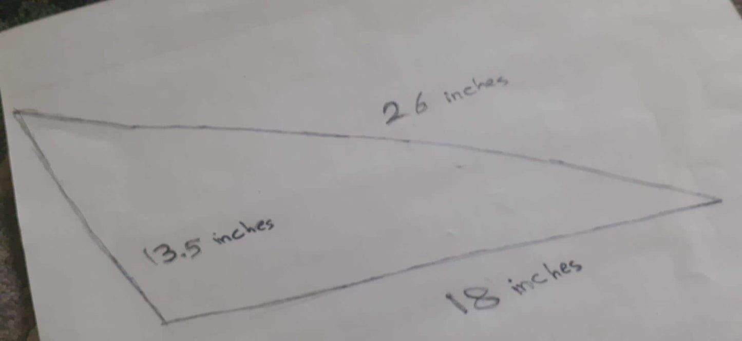 XXL Horse skull taxidermy mount