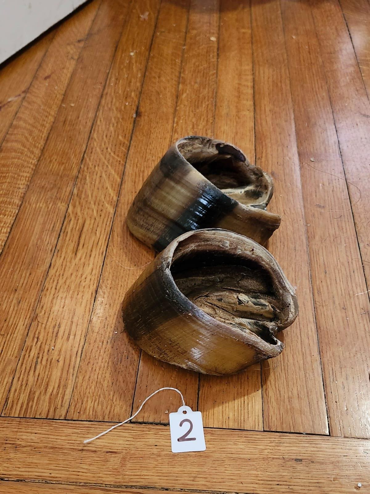 A pair of horse hooves taxidermy