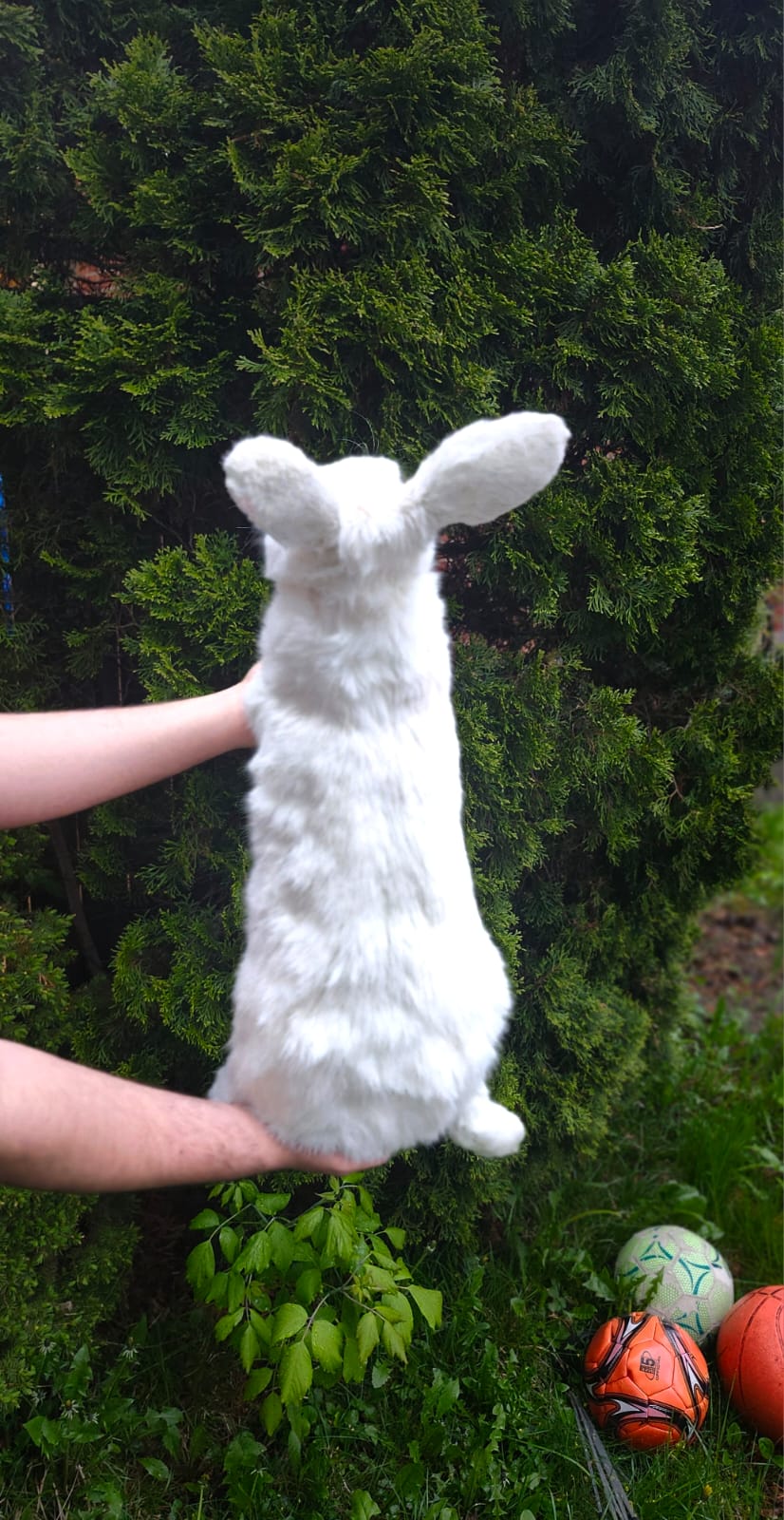 XL soft mount rabbit taxidermy with albino eyes
