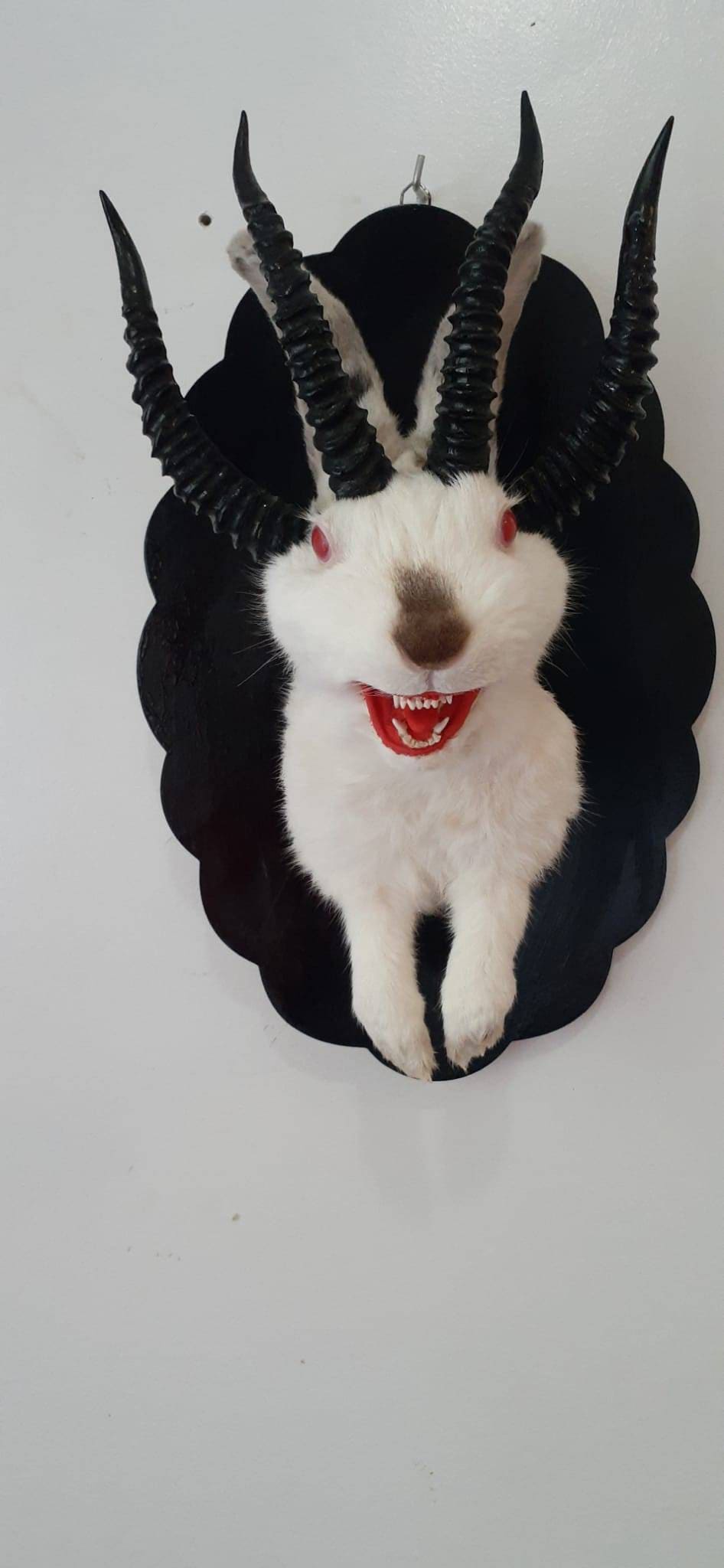 Adorable four horned open mouth beast jackalope taxidermy with real fox teeth, jackalope mount