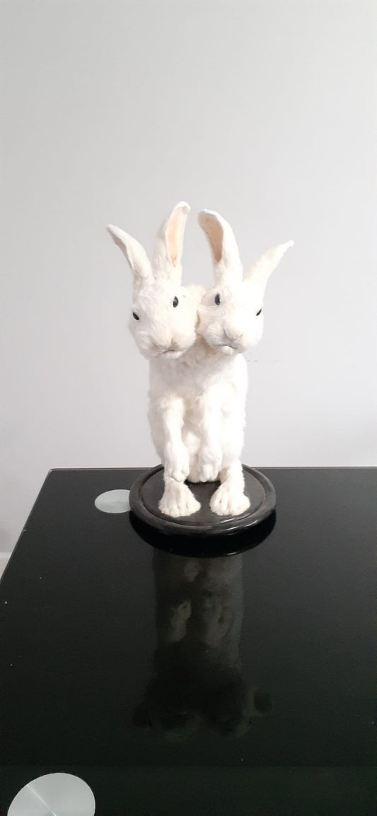 Two headed beast rabbit taxidermy, standing white bunny mount, jackalope taxidermy