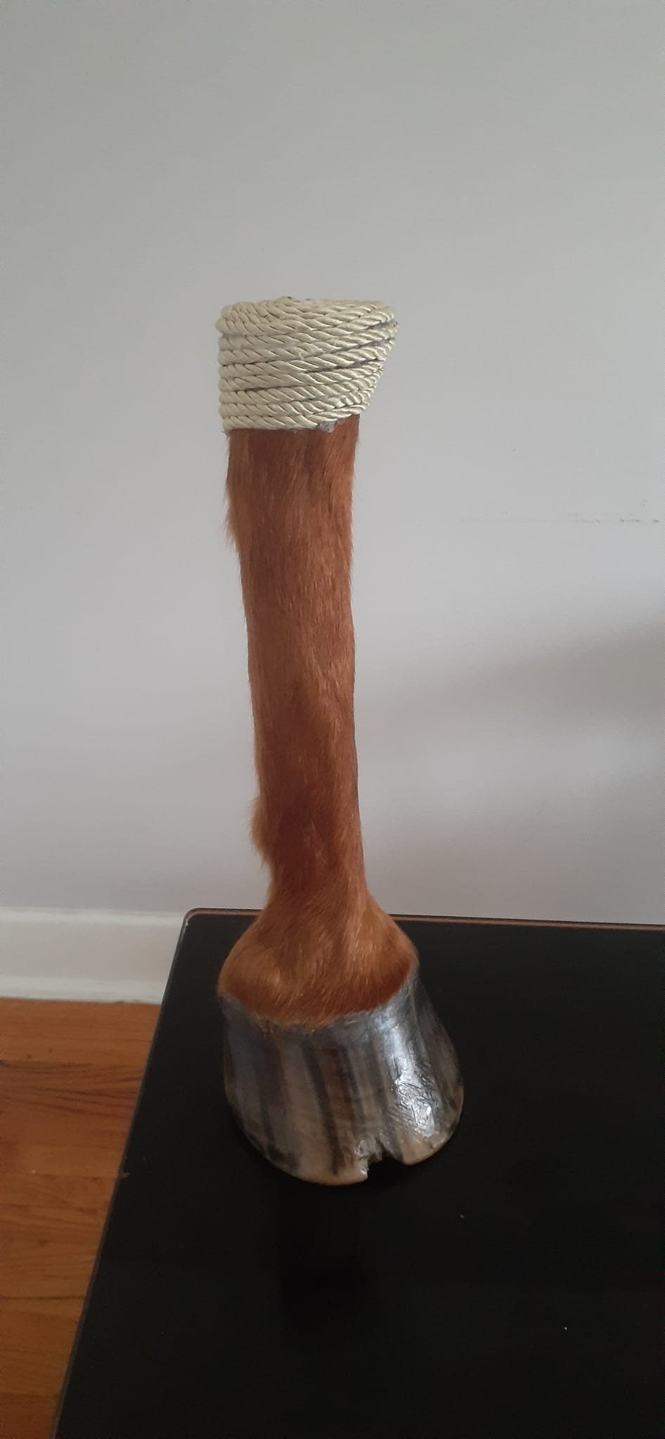 Light brown blond horse feet taxidermy decoration high quality