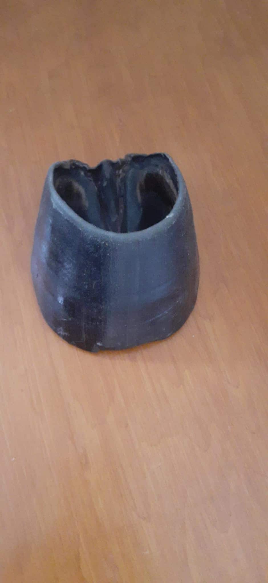 Black horse hoof taxidermy