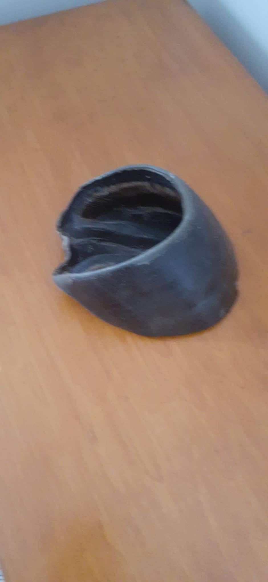 Black horse hoof taxidermy