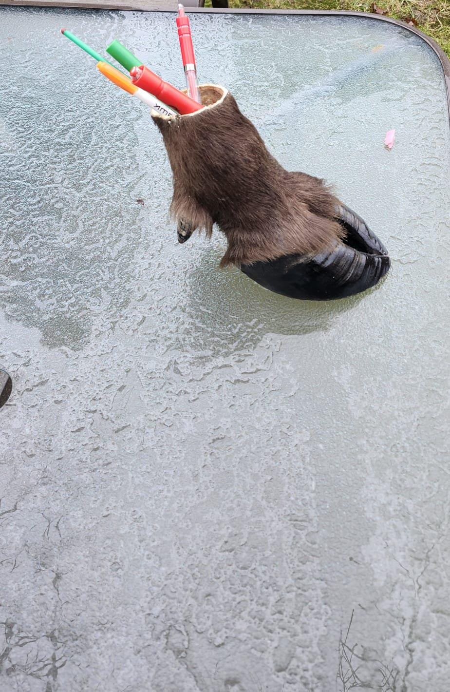 bison/ buffalo foot pencil holder