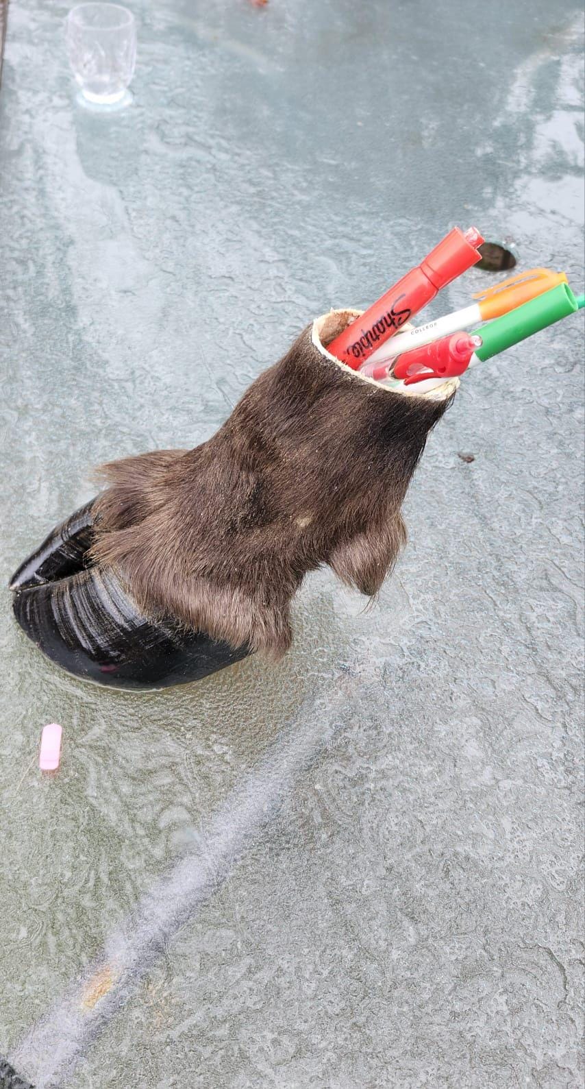 bison/ buffalo foot pencil holder