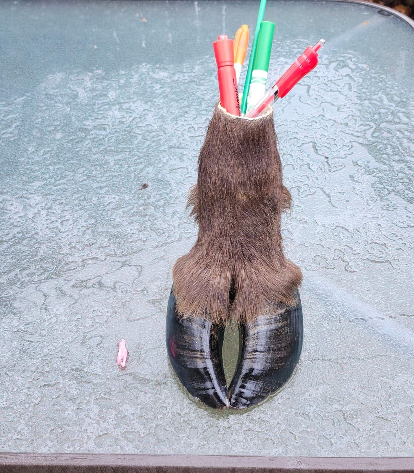 bison/ buffalo foot pencil holder