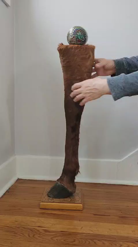 Brown full horse leg taxidermy with ash tray on the top