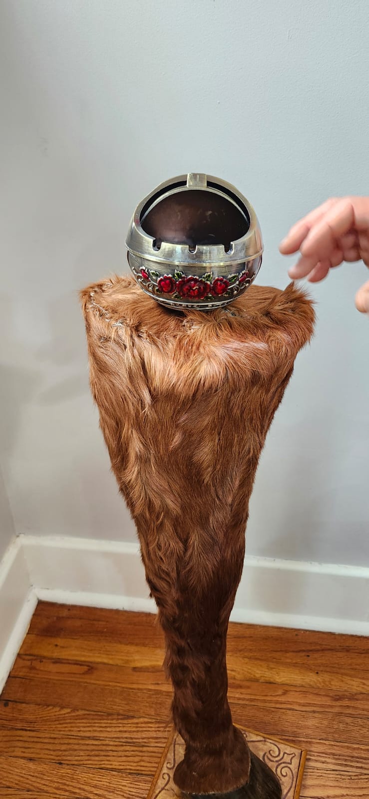 Brown full horse leg taxidermy with ash tray on the top