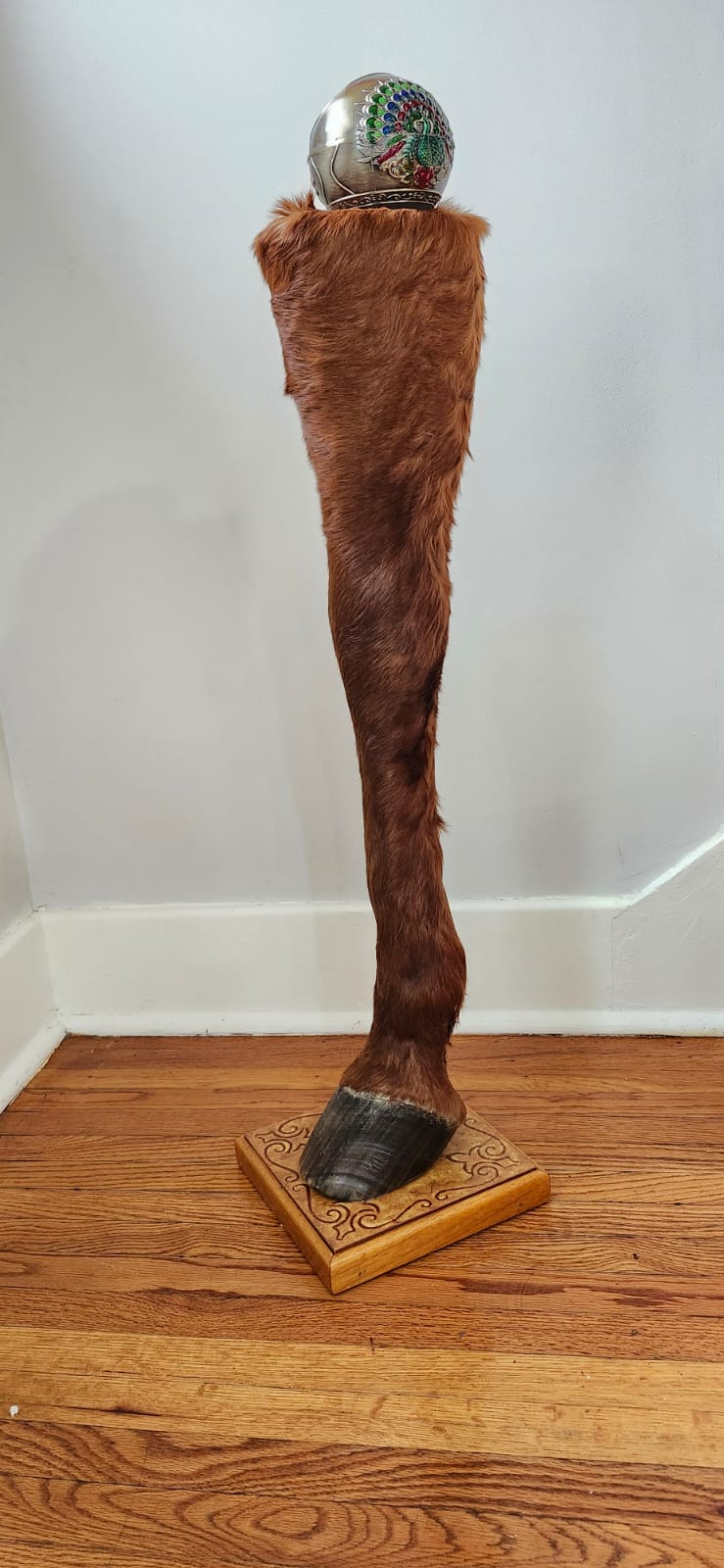 Brown full horse leg taxidermy with ash tray on the top
