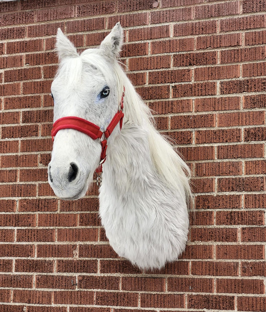 White shoulder mount horse taxidermy