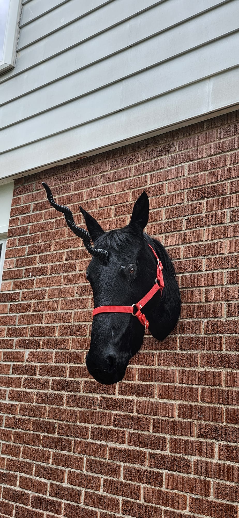 Black horse head taxidermy with replica horn, black unicorn
