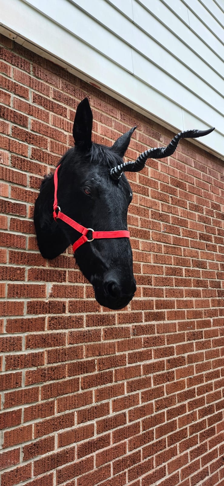 Black horse head taxidermy with replica horn, black unicorn