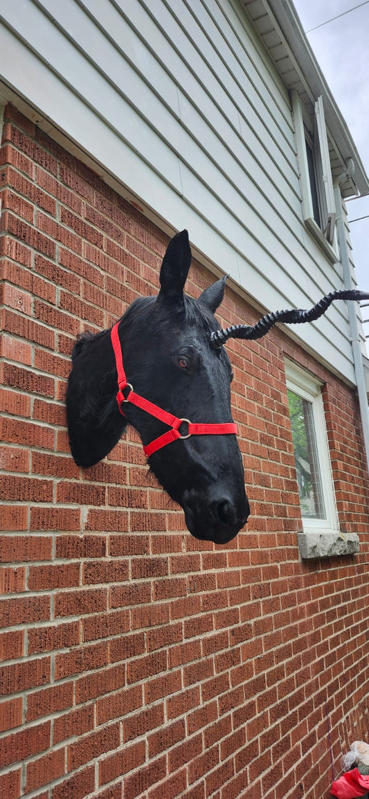Black horse head taxidermy with replica horn, black unicorn
