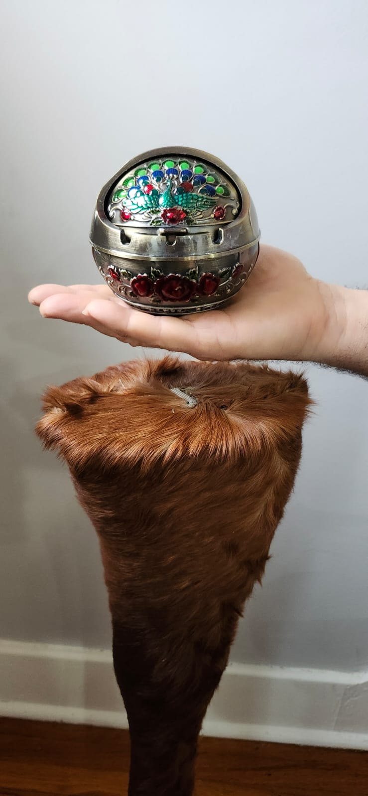 Brown full horse leg taxidermy with ash tray on the top