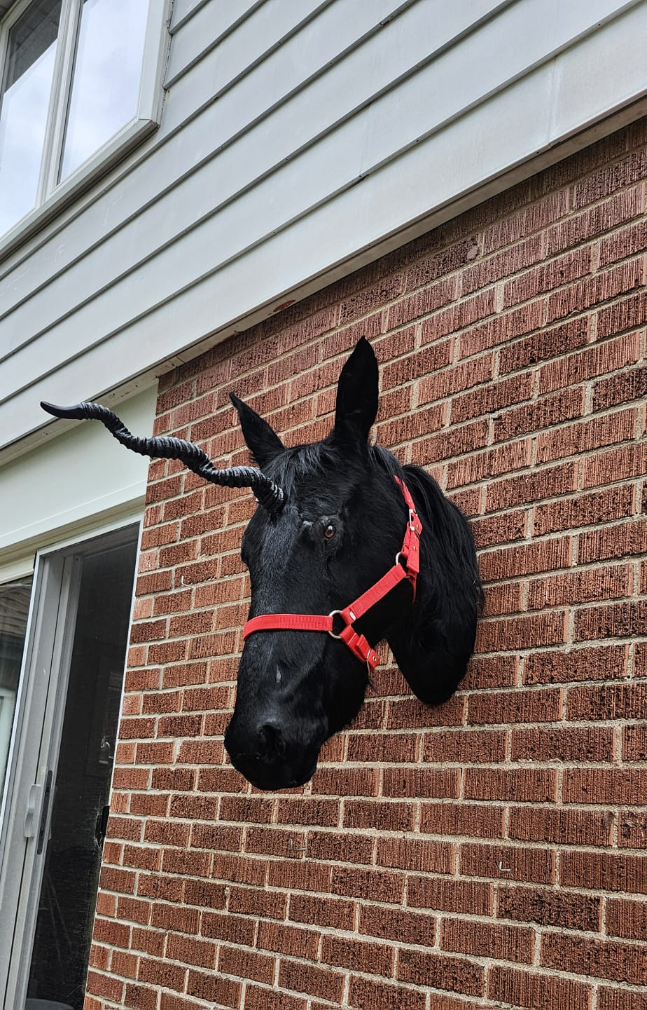 Black horse head taxidermy with replica horn, black unicorn