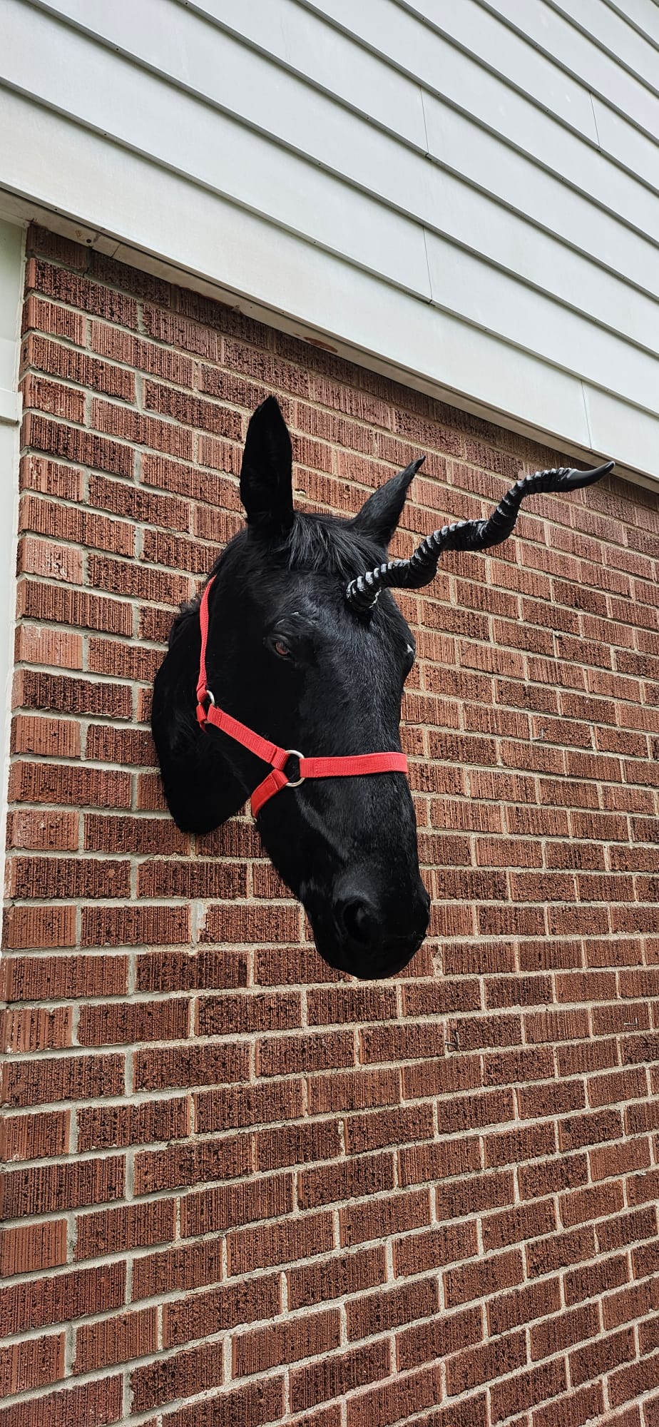 Black horse head taxidermy with replica horn, black unicorn
