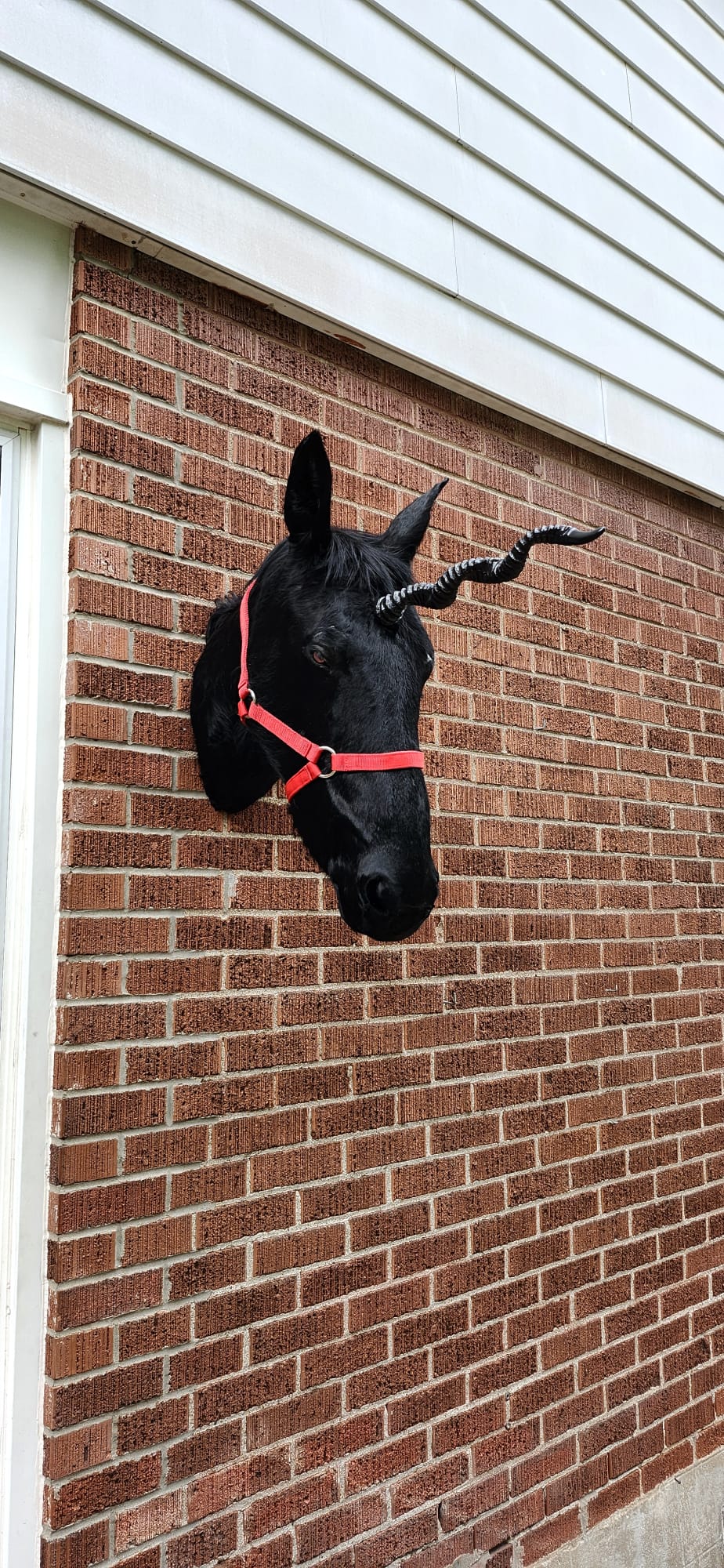 Black horse head taxidermy with replica horn, black unicorn