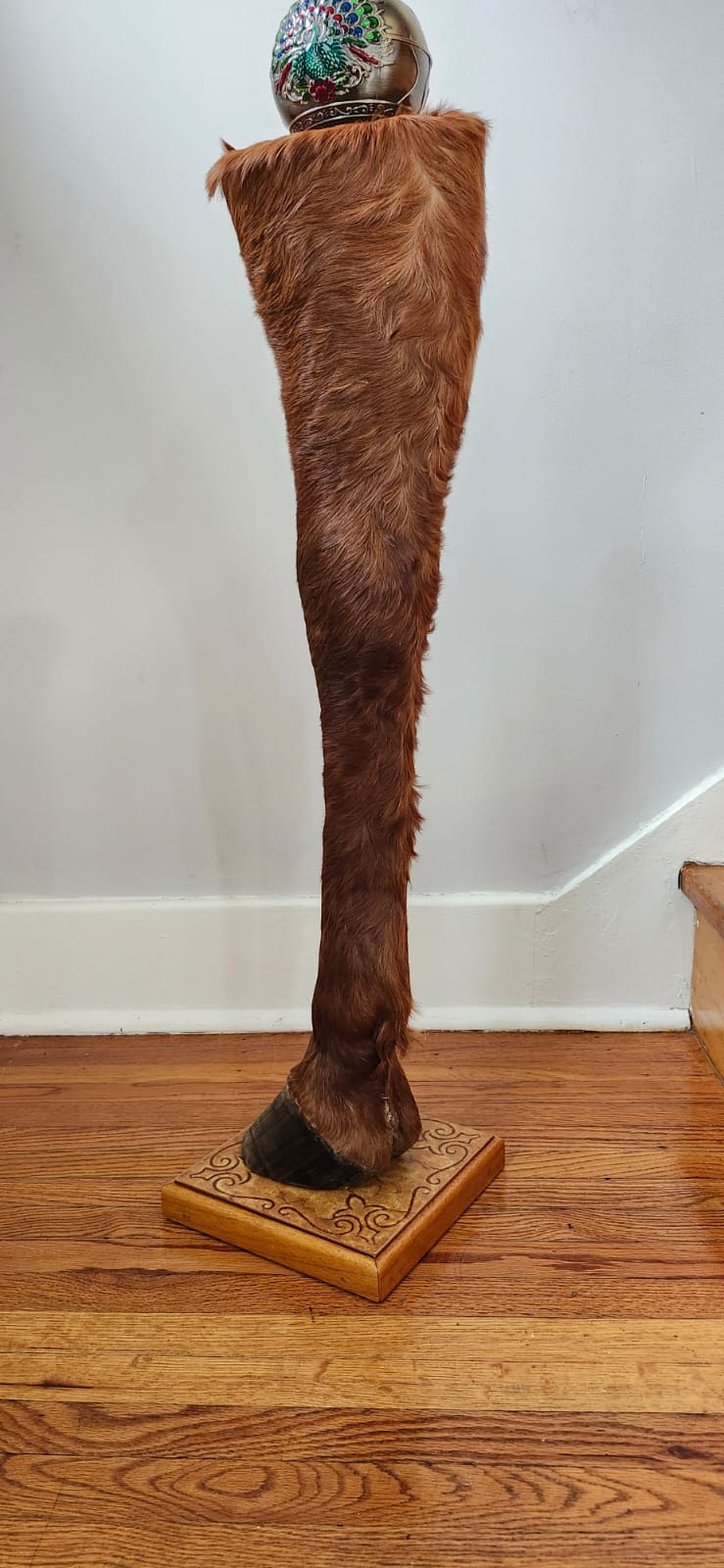 Brown full horse leg taxidermy with ash tray on the top